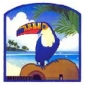 Blue Toucan Music